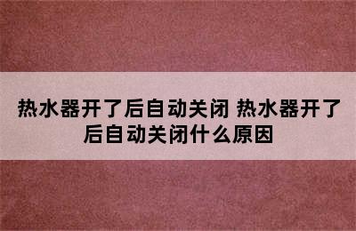 热水器开了后自动关闭 热水器开了后自动关闭什么原因